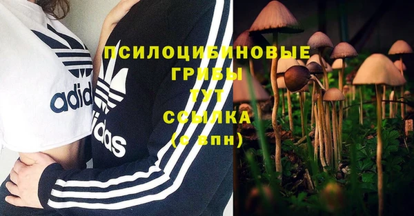 скорость Абинск